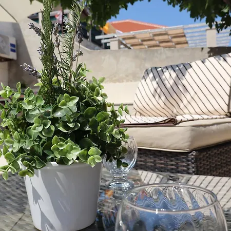 Fig Tree Apartmán Povlja (Brac)