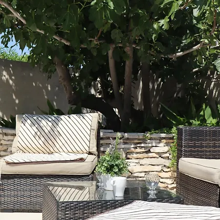 Fig Tree * Povlja (Brac)