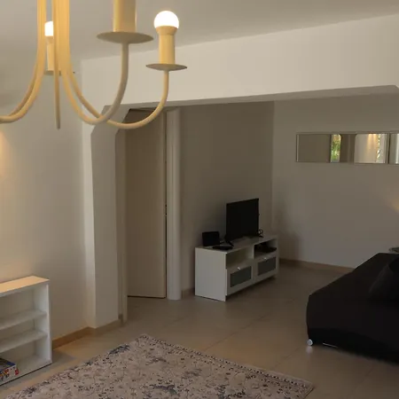 Fig Tree بوفليا