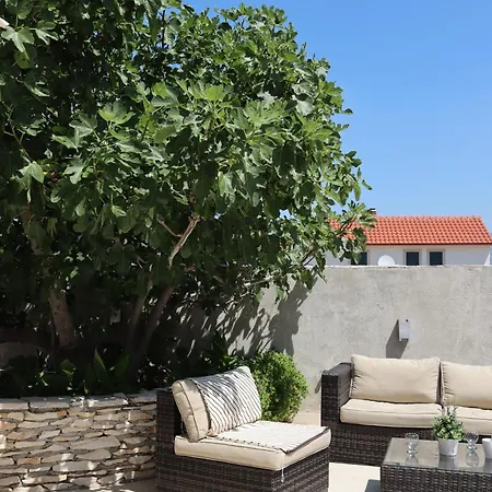 Fig Tree Povlja