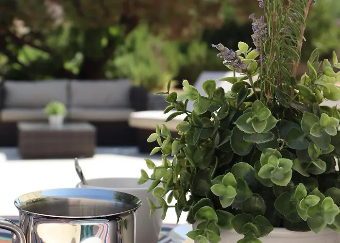 Apartman Fig Tree
