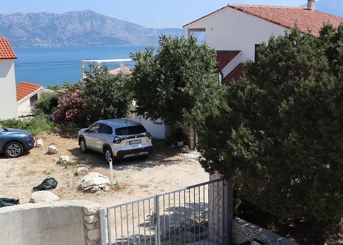 Apartman Fig Tree