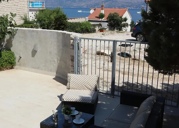 Fig Tree * بوفليا