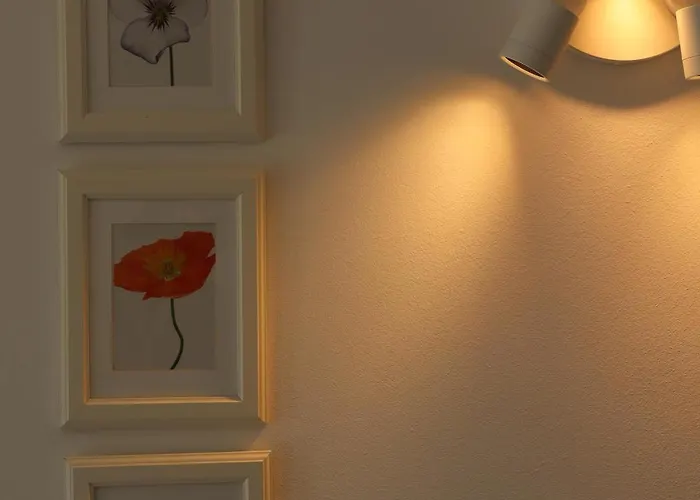 Fig Tree Apartman Povlja