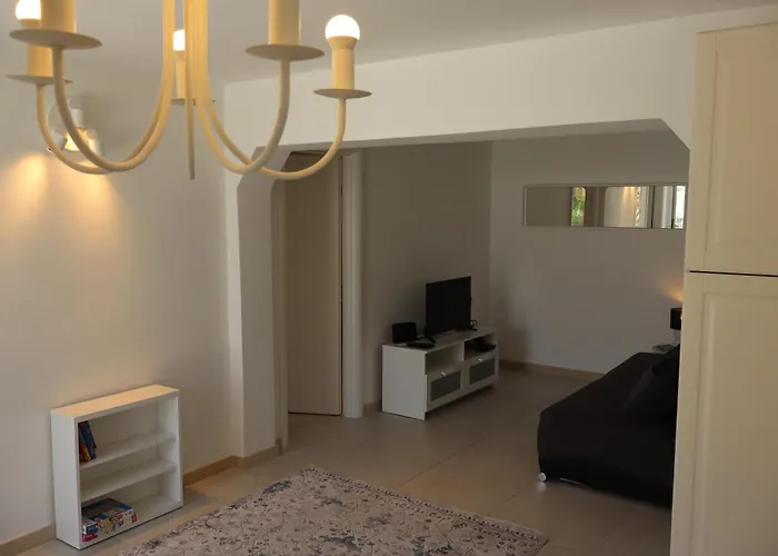 Fig Tree بوفليا