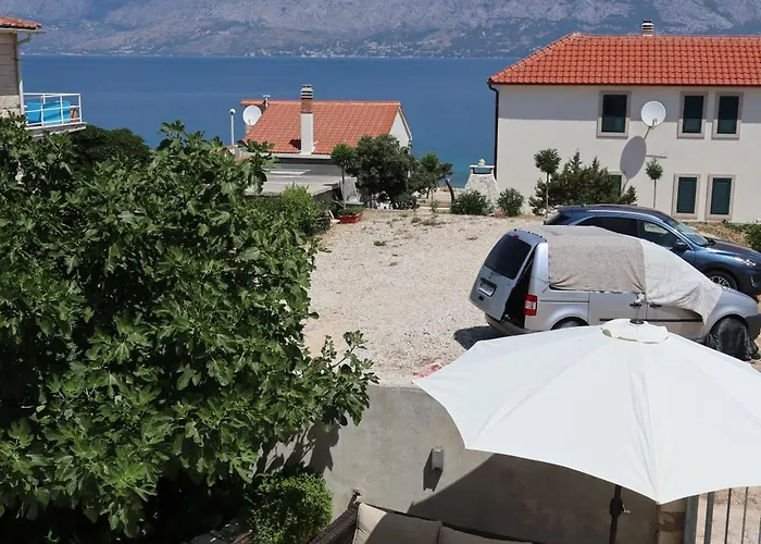 Fig Tree Lägenhet *