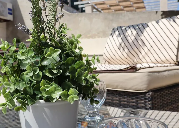Fig Tree Apartman Povlja