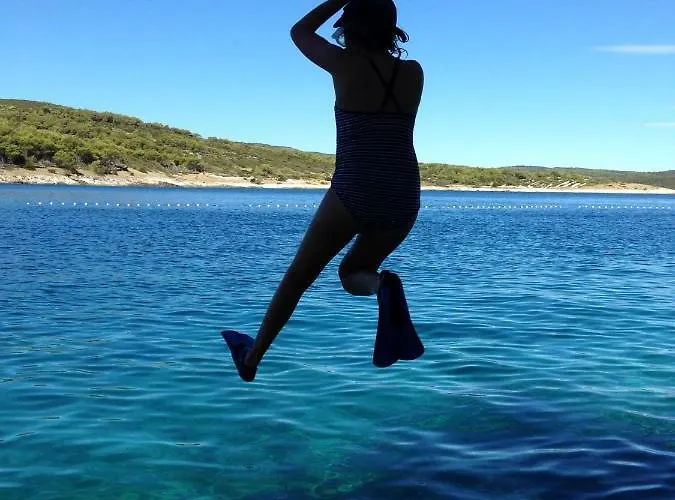 Fig Tree * بوفليا