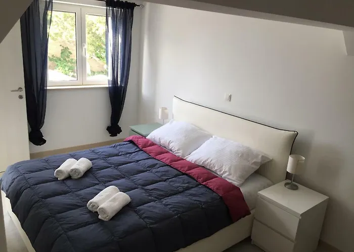 Fig Tree بوفليا