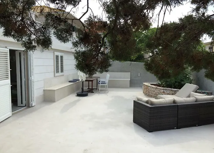 Fig Tree * بوفليا