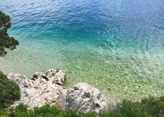 Fig Tree شقة بوفليا