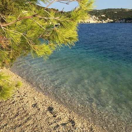 Fig Tree Povlja (Brac)